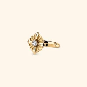 Rouvenat_Stamp_Rings_3_27f69238-746e-416d-84b8-a3ce5d7c87c8 (1)
